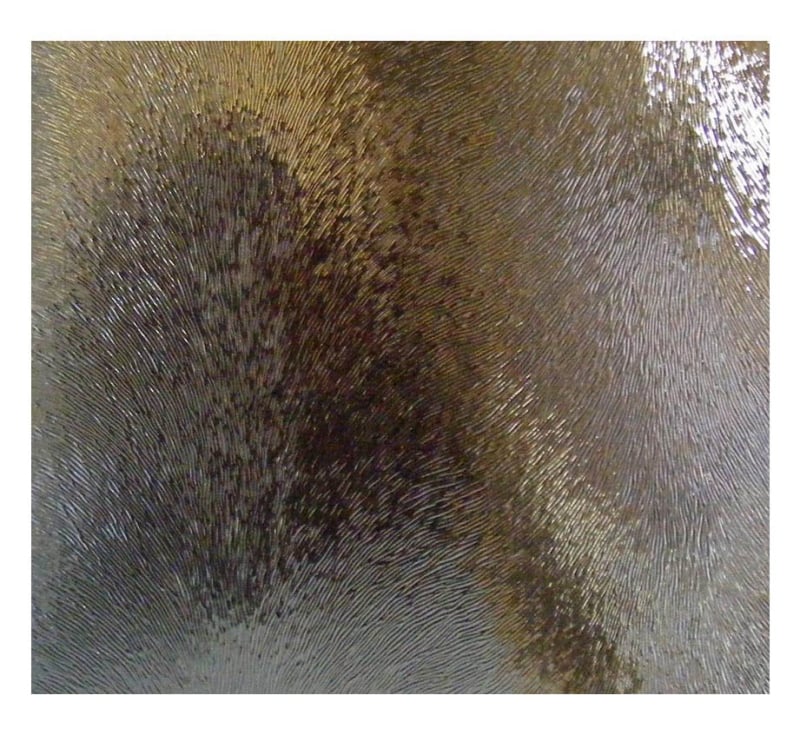 Chinchilla