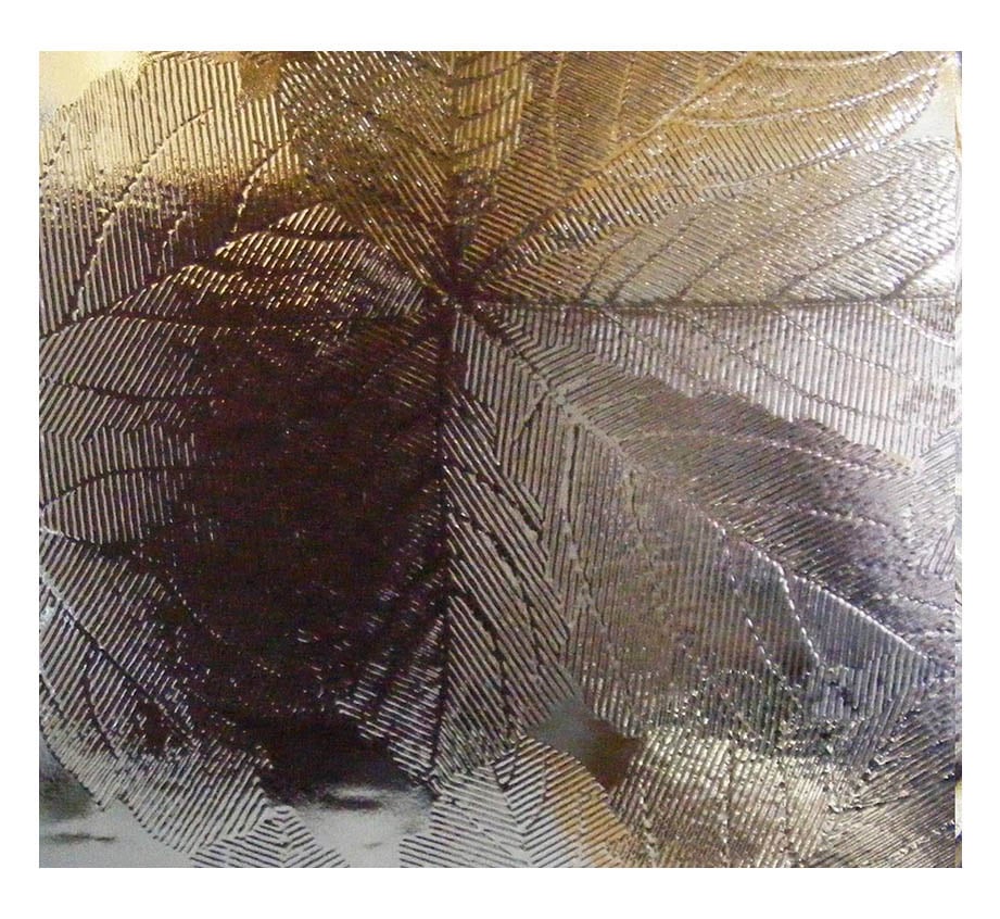 Sycamore